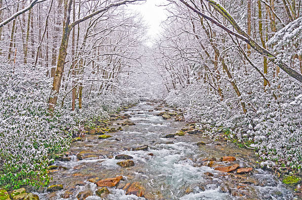 マウンテンストリームスプリングスノーの嵐 - waterfall great smoky mountains great smoky mountains national park tennessee ストックフォトと画像