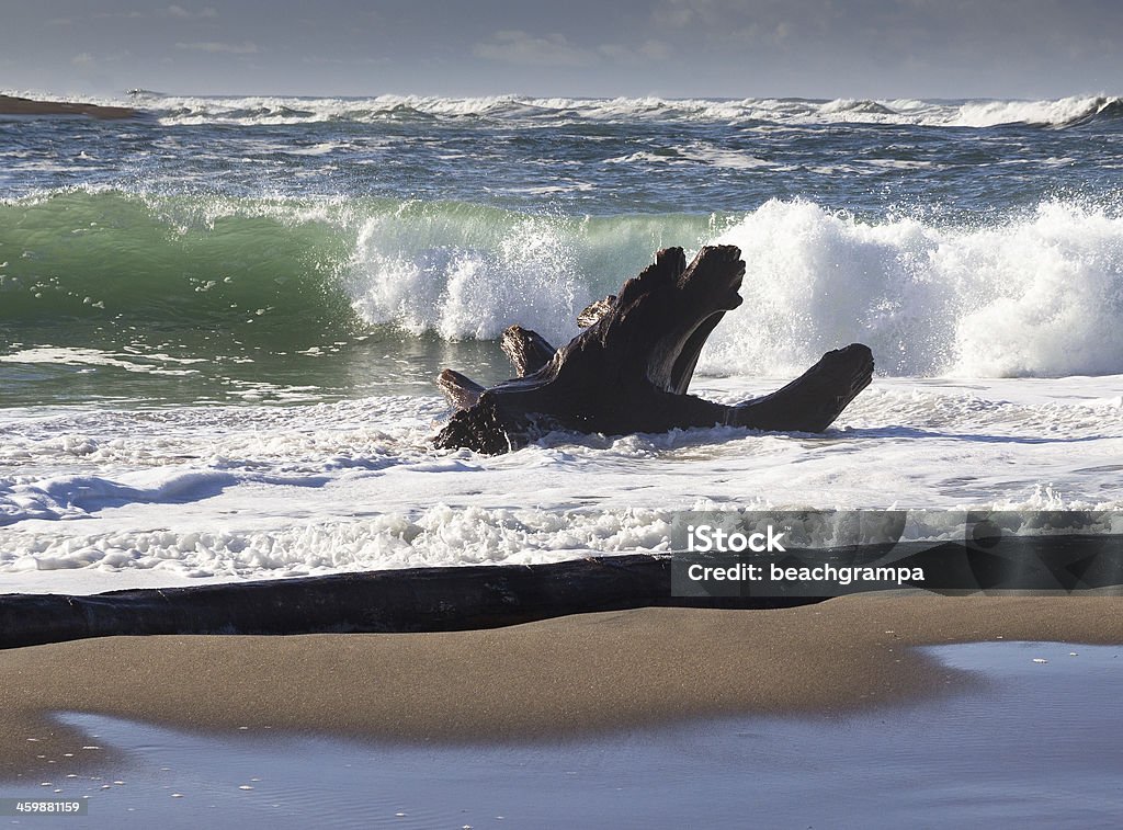 Driftwood in the Surf Driftwood in the surf on a beach along the Oregon Coast. Beach Stock Photo