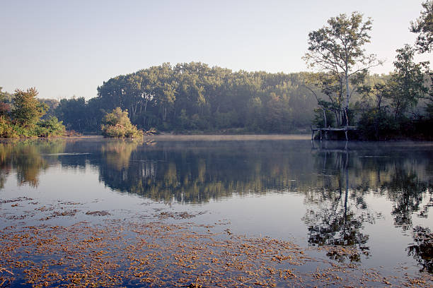 Lake in the early morning. Made in Lobau, Austria