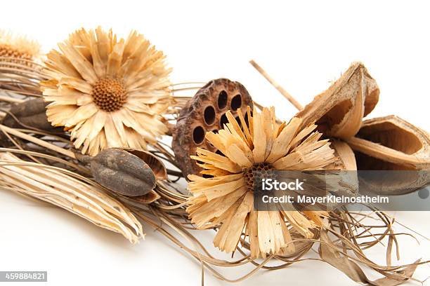 Dry Flowers Flower Arrangement Stock Photo - Download Image Now - Decoration, Domestic Life, Dried Plant