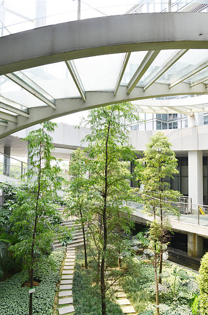 istock Modern office building with flourish green garden 459885425