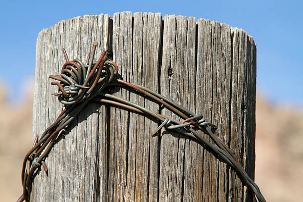 Rustic fence stock photo