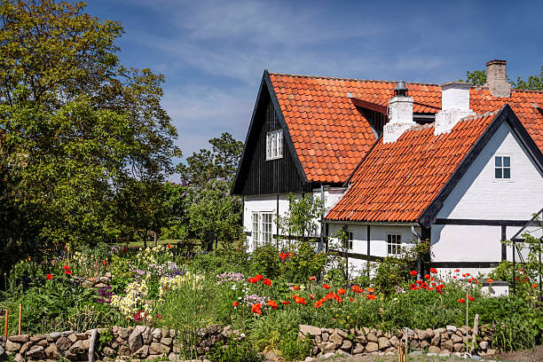 idílica desniveladas repletas de casa de bornholm - denmark house cottage rural scene - fotografias e filmes do acervo