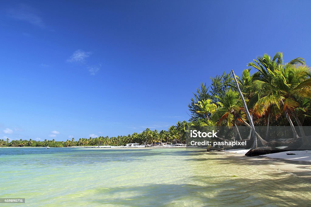 Caribbean sea beach Caribbean sea beach, Dominican Republic Bahamas Stock Photo