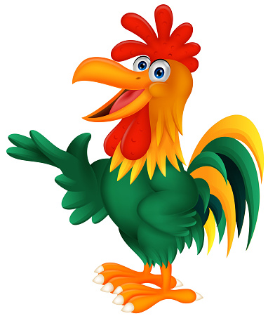 Cute Rooster Cartoon Presenting Stock Illustration - Download Image Now -  Animal, Animal Body Part, Animal Muscle - iStock