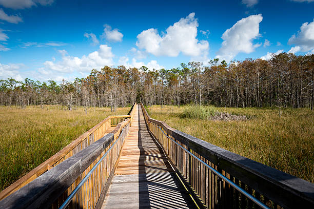 Pathway to Nature stock photo