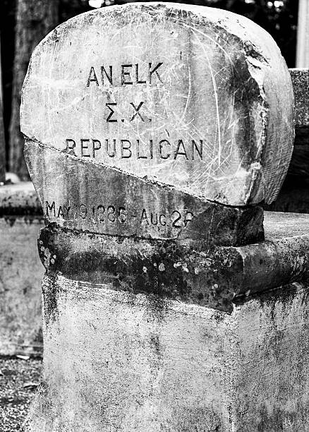 istock An Elk And A Republican 459896169