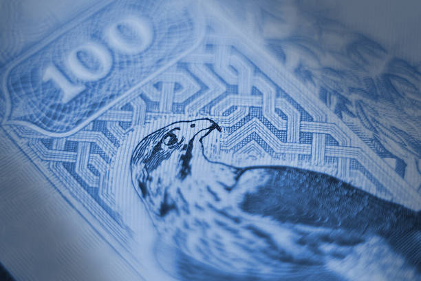 uae 디르함 클로즈업 - moroccan currency 이미지 뉴스 사진 이미지