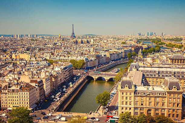 istock Aerial view of Paris 459898071