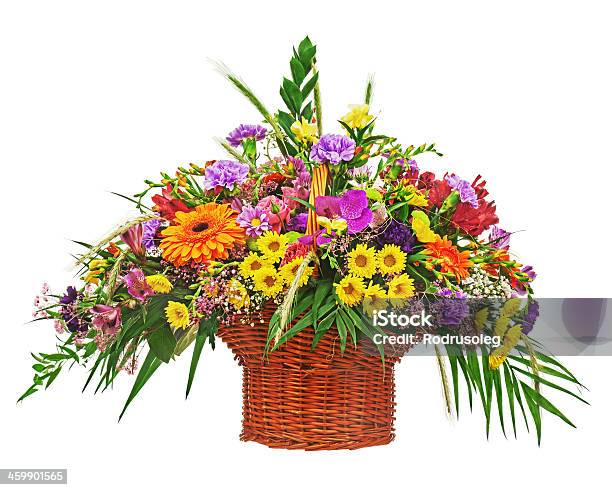 Blumenstrauß Anordnung Mittelpunkt In Weidenkorb Isoliert Stockfoto und mehr Bilder von Blau