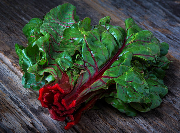 vermelho rubi crus orgânicos acelga - ruby red chard fotos - fotografias e filmes do acervo