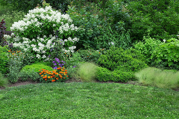 istock Blooming garden with green lawn 459903041