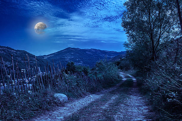 istock mountain road near the forest with cloudy sky 459904073