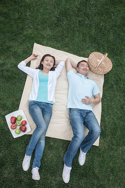 istock Couple lying on picnic blanket. 459904473