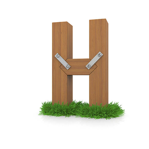 압살했다 알파벳 h in the grass - letter h alphabet three dimensional shape green 뉴스 사진 이미지