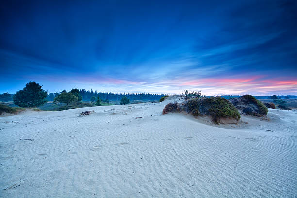 istock summer sunrise over sand dunes 459907027