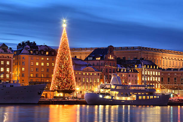 stockholms cidade velha com árvore de natal - christmas christmas tree sweden decoration - fotografias e filmes do acervo