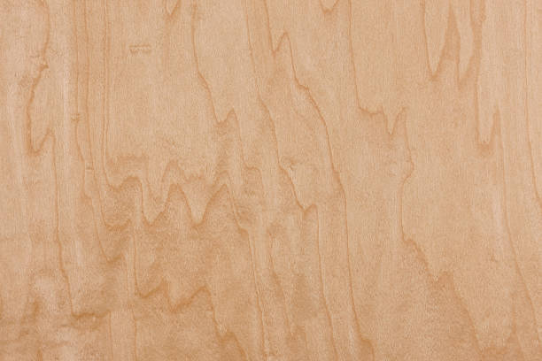 istock Grain of wood 459911903