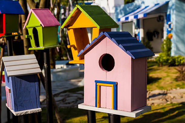 istock colorful bird house. 459912625