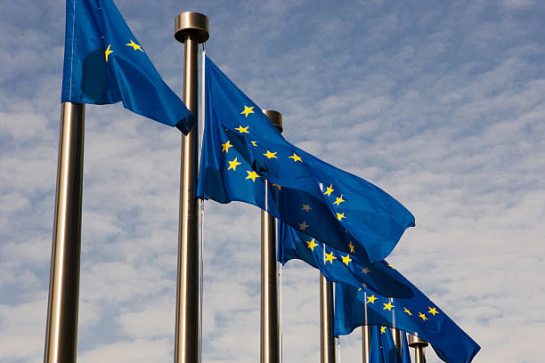 istock European flags in Brussels 459913495
