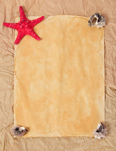 istock Old paper, starfishes and cockleshells 459913757