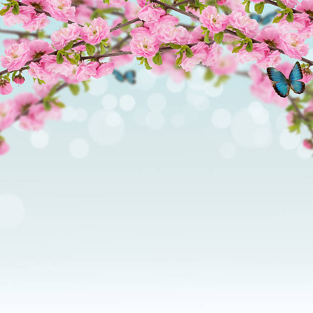 istock Postcard with fresh spring flowering bush 459913931