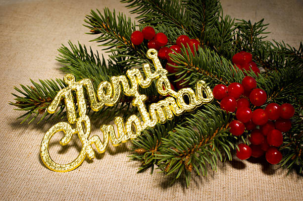 istock merry christmas, viburnum berries and spruce branches 459914695