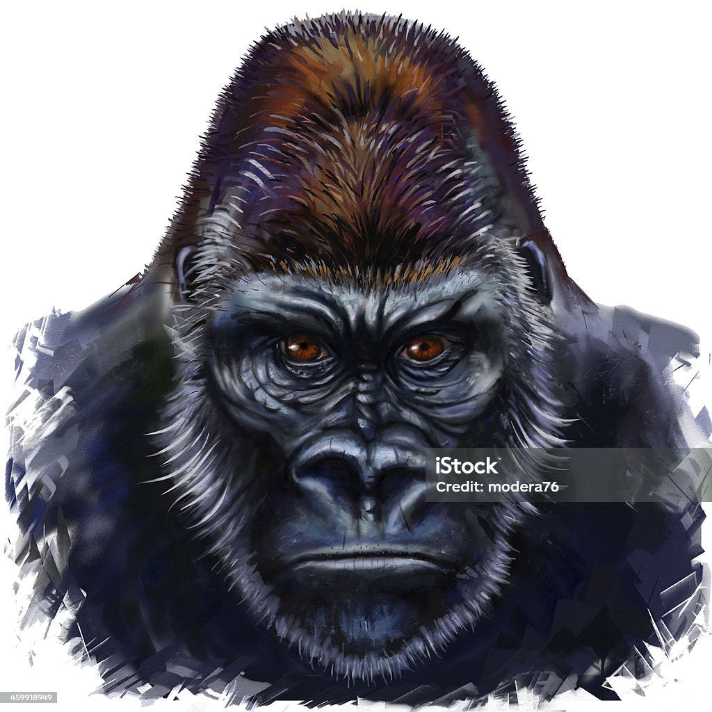 gorilla male gorilla digital painting, Gorilla stock illustration