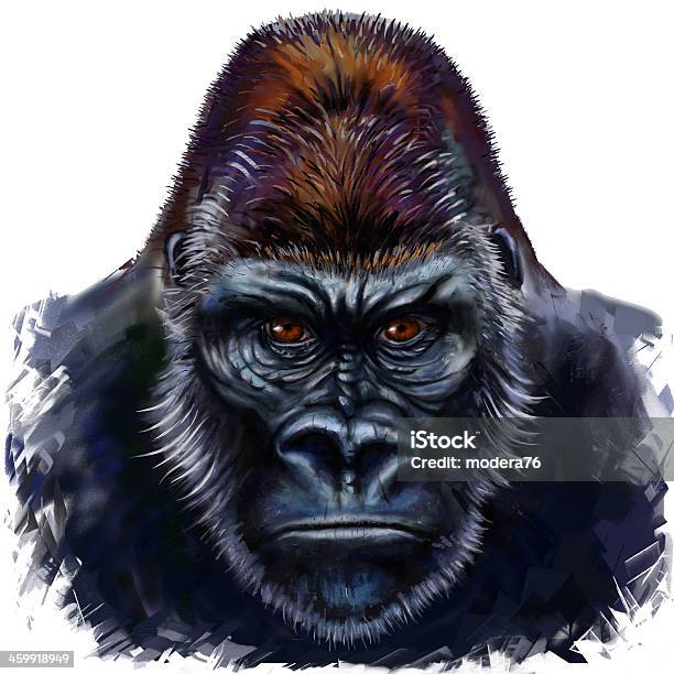 Gorilla Male Stock Illustration - Download Image Now - Gorilla, Illustration, Silverback Gorilla