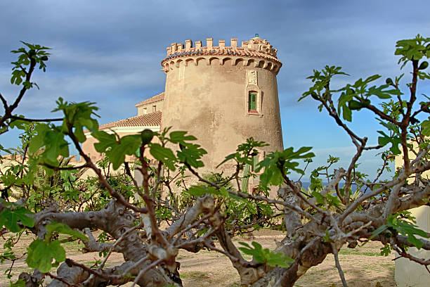 home of Torre de la Horadada 1880 stock photo