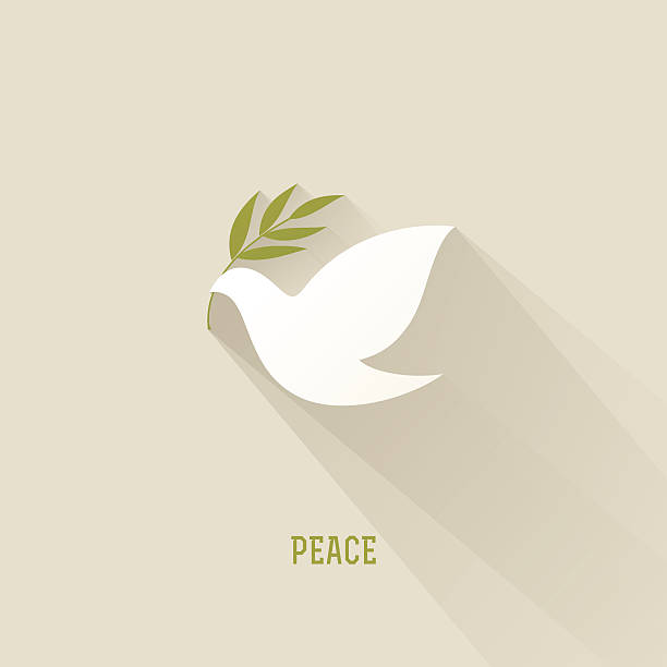 illustrazioni stock, clip art, cartoni animati e icone di tendenza di pace colomba con ramo d'ulivo - symbols of peace illustrations