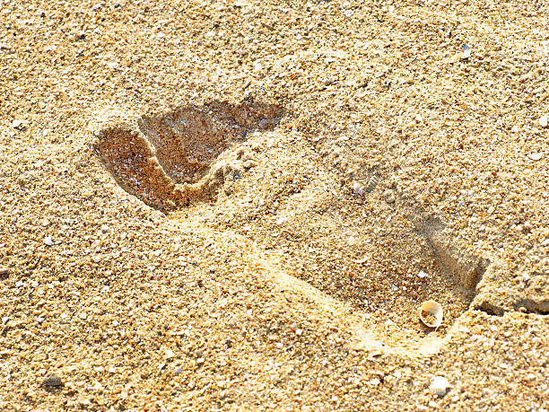 istock Human traces on the yellow sand taken closeup. 459921099