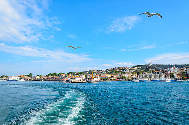 istock View of Istanbul by the sea. 459921367