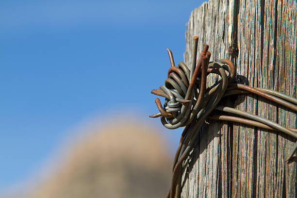 Rustic barbed wire and pole stock photo