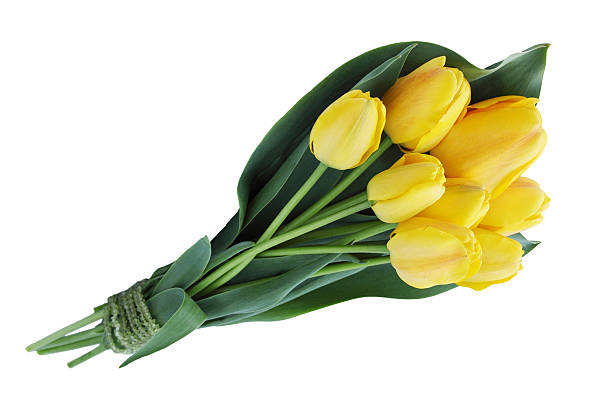 istock bouquet of yellow tulips 459921563