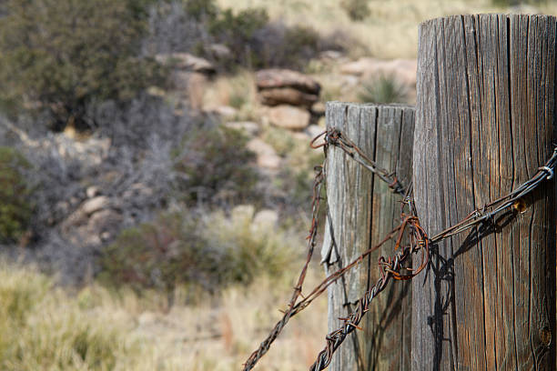 Rustic fence stock photo