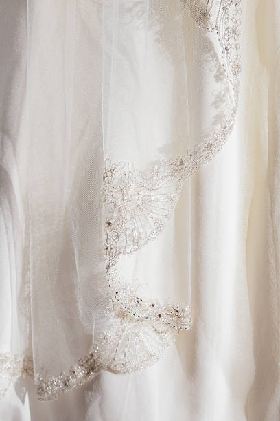istock Wedding Dress Closeup Detail 459926649