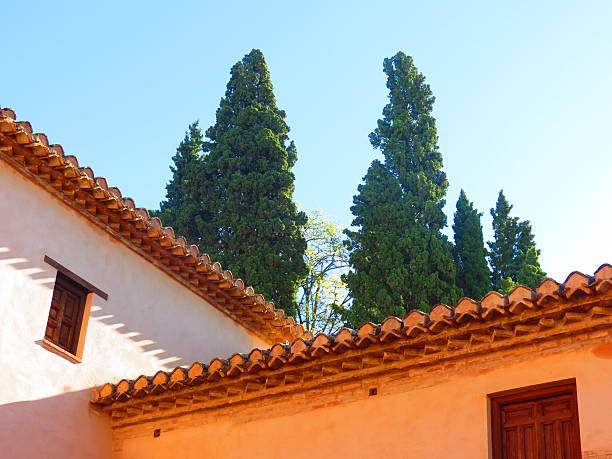 istock Roofs in Alhambra gardens 459927683
