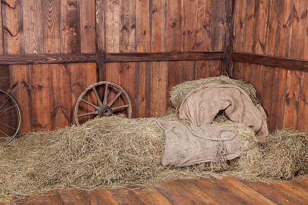 istock Wood and hay background 459928769