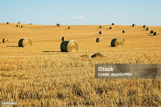 Солома Bales Поле — стоковые фотографии и другие картинки Время года - Время года, Выращиваемый, Горизонтальный