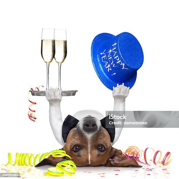 Silvesterhund Stockfoto und mehr Bilder von Alkoholisches Getränk - Alkoholisches Getränk, Butler, Cocktail