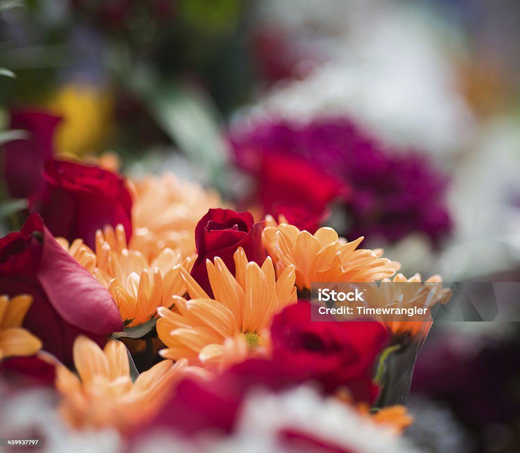 꽃 판매 - 로열티 프리 0명 스톡 사진