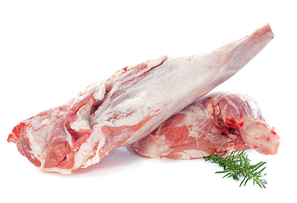 gambe e spalle di agnello - lamb isolated meat animal bone foto e immagini stock