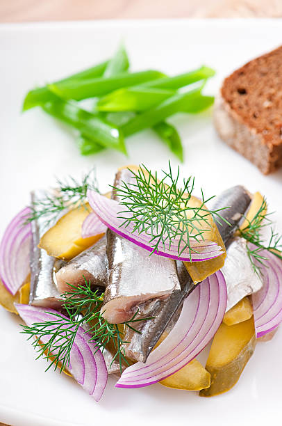 ensalada de pepino con arenques encurtidos y cebollas - healthy eating food and drink raw leek fotografías e imágenes de stock