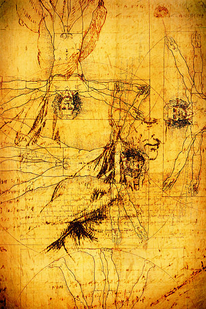 istock Anatomy art on a vintage piece of paper 459944335