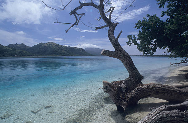 Lagoon and turquoise water in French Polynesia, Tahiti stock photo