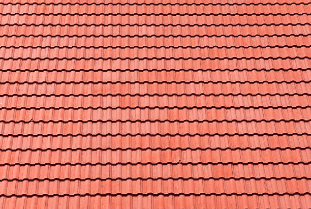 red tiles roof for background.