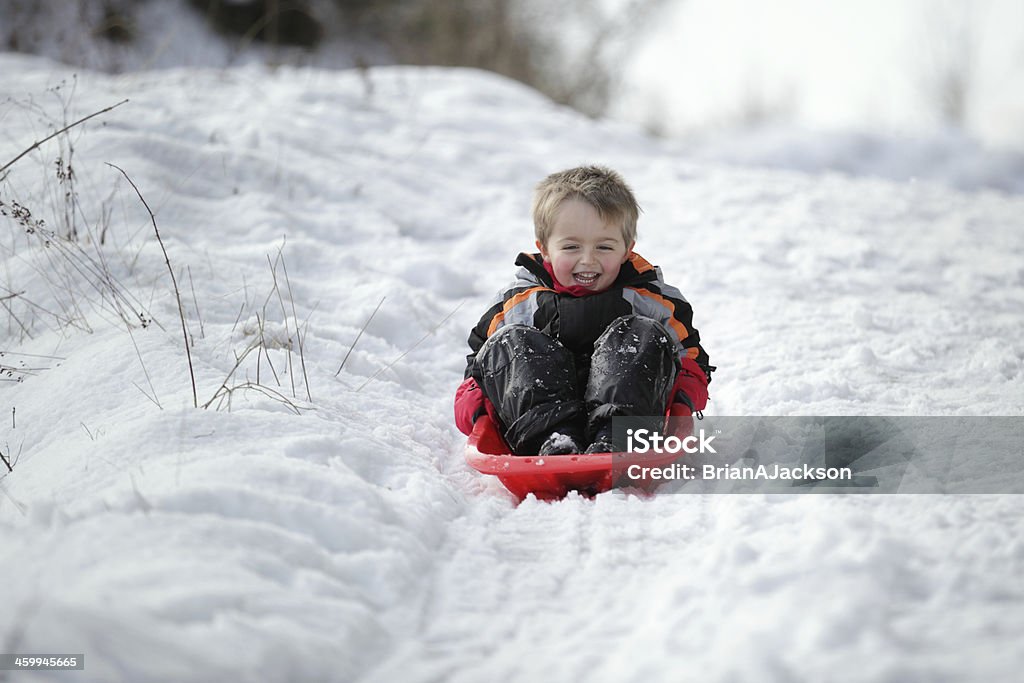 Sledging in the snow Happy young boy out playing in the snow on his sledge Sledding Stock Photo