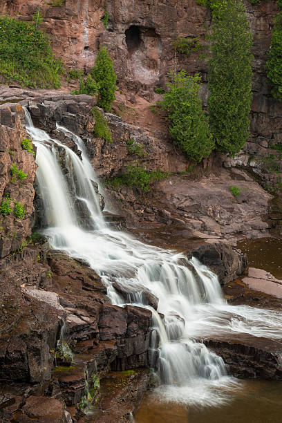 groseille à maquereau middle falls - gooseberry photos et images de collection