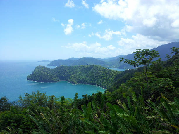 istock Island of Trinidad 459953049